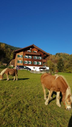 Haus Silke, Silbertal, Österreich